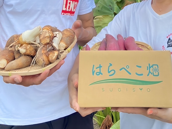 鮮度と美味しさ、直送でお届け 仕入れ野菜をお探しの方へ