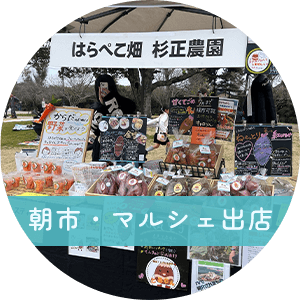朝市・マルシェ出店