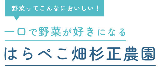 野菜ってこんなにおいしい！一口で野菜が好きになる はらぺこ畑杉正農園