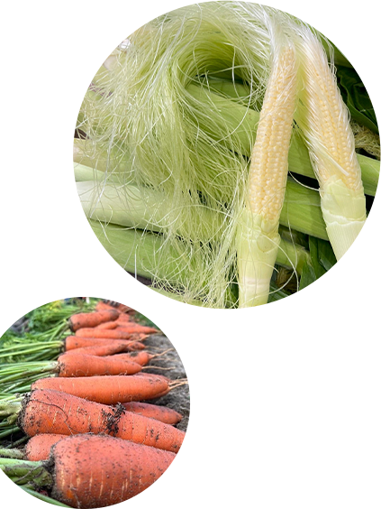 野菜ってこんなにおいしい！一口で野菜が好きになる