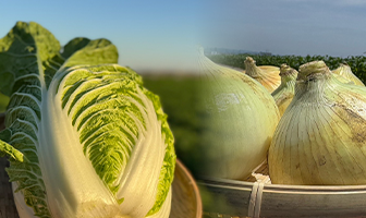 まるでフルーツ人参キャロりん